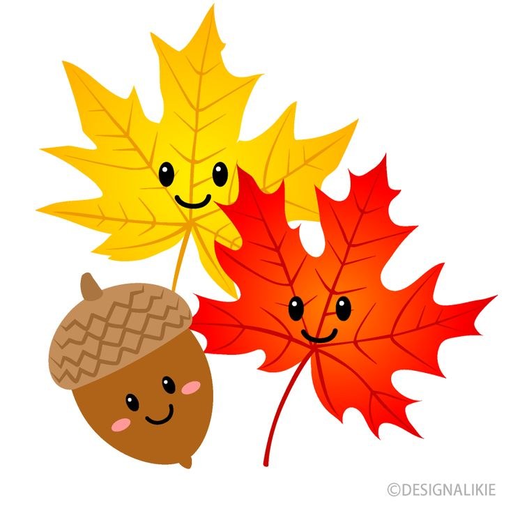 Fall Coloring Contest Fall Coloring Contest