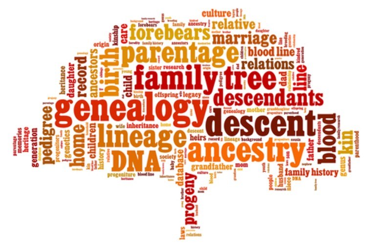 Genealogy 101 Genealogy 101