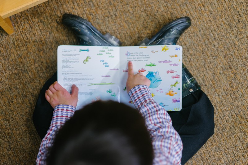 Story Hour Story Hour